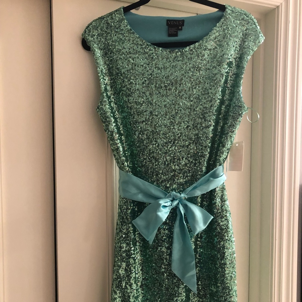 Venus sparkly green dress